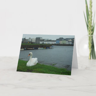 Tarjeta de nota del cisne de Galway