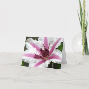 Tarjeta de nota del Clematis