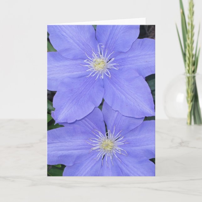 Tarjeta de nota del Clematis 2 (Anverso)