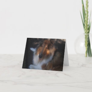 Tarjeta de nota del collie