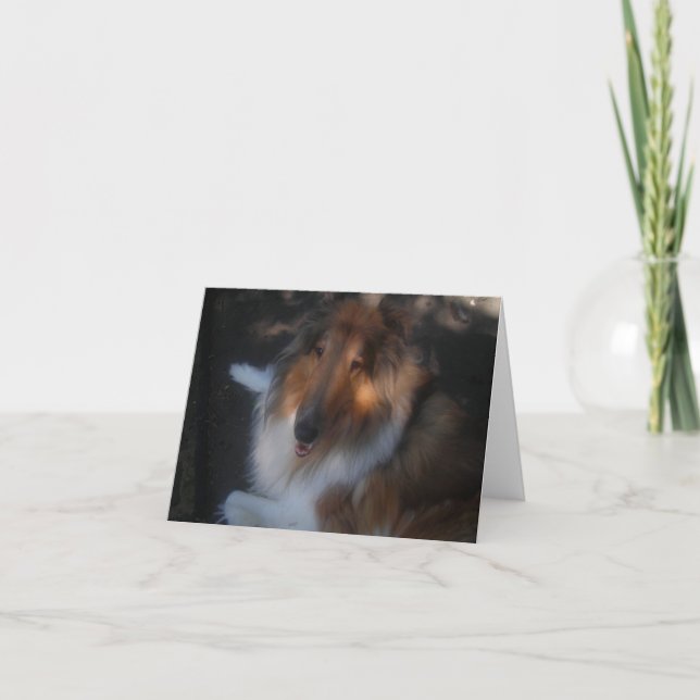 Tarjeta de nota del collie (Anverso)