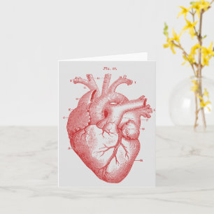 Tarjeta de nota del corazón humano anatómico vinta