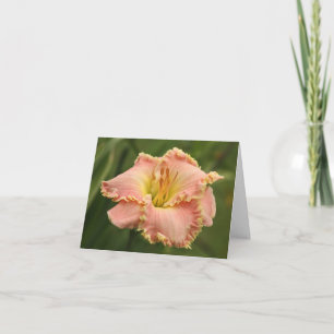 Tarjeta de nota del Daylily