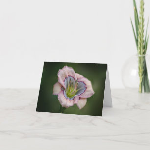 Tarjeta de nota del Daylily