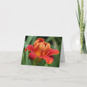 Tarjeta de nota del Daylily
