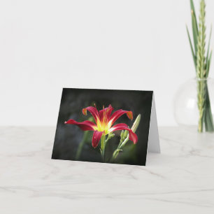 Tarjeta de nota del Daylily