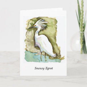 Tarjeta de nota del Egret nevado