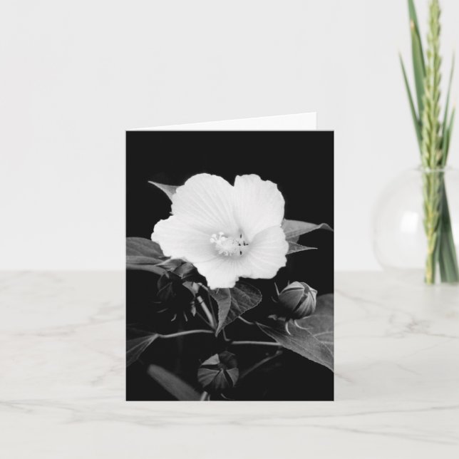 Tarjeta de nota del espacio en blanco de la malva (Anverso)