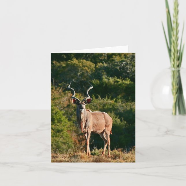 Tarjeta de nota del este de Kudu del cabo (Anverso)