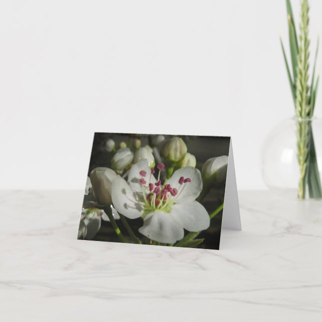 Tarjeta de nota del flor de la pera de la acuarela (Anverso)