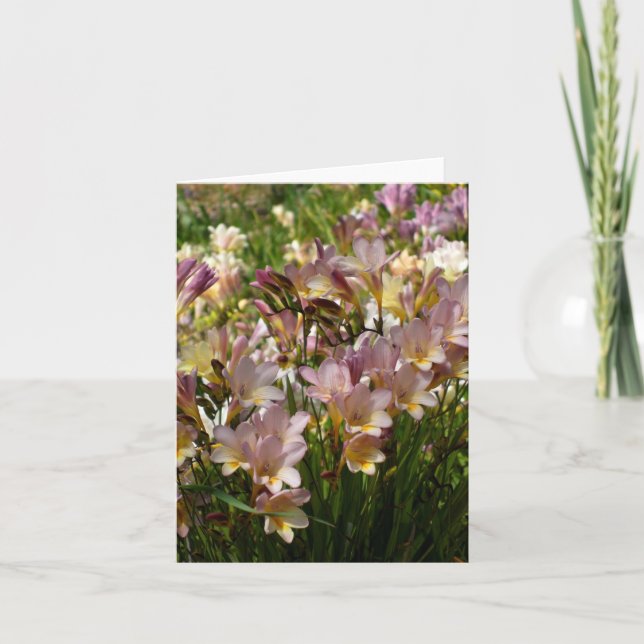 Tarjeta de nota del Freesia (Anverso)