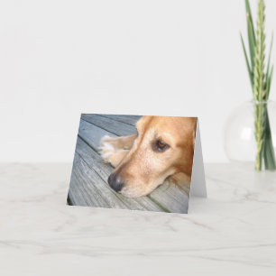 Tarjeta de nota del golden retriever
