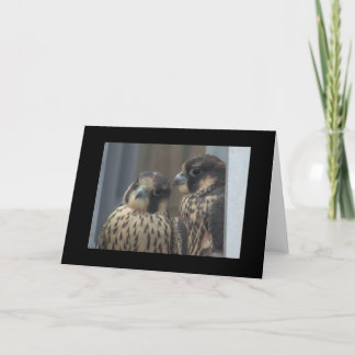 Tarjeta de nota del halcón