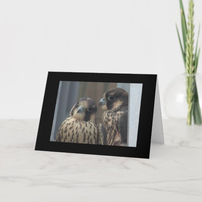 Tarjeta de nota del halcón (Anverso)