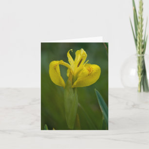 Tarjeta de nota del iris amarillo