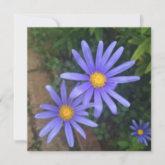 Tarjeta de nota del jardín inglés