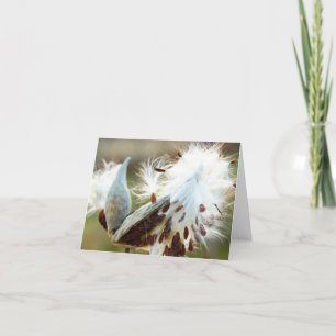 Tarjeta de nota del Milkweed: Por completo de