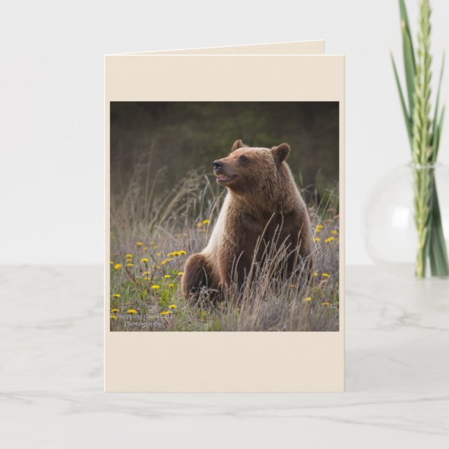 Tarjeta de nota del oso - espacio en blanco (Anverso)
