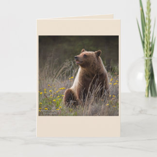Tarjeta de nota del oso - espacio en blanco