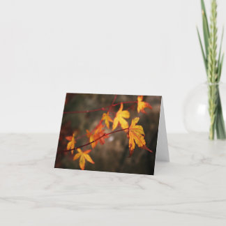 Tarjeta de nota del otoño que llora