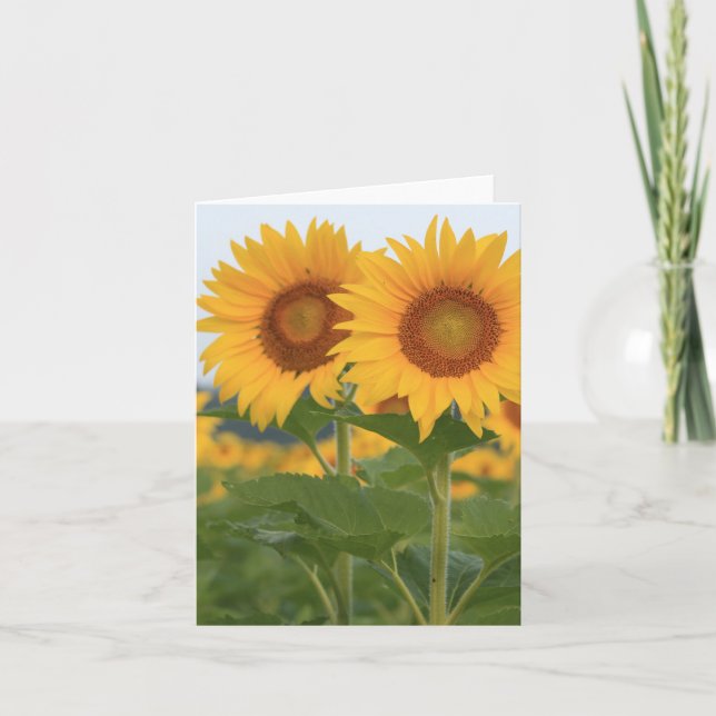 Tarjeta de nota del par feliz de girasoles (Anverso)