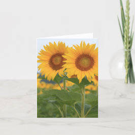 Tarjeta de nota del par feliz de girasoles