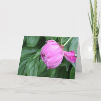 TARJETA DE NOTA DEL PEONY