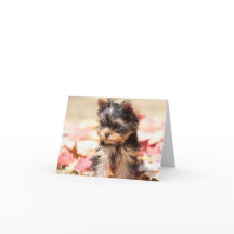 Tarjeta de nota del perrito de Yorkie del otoño