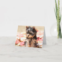 Tarjeta de nota del perrito de Yorkie del otoño