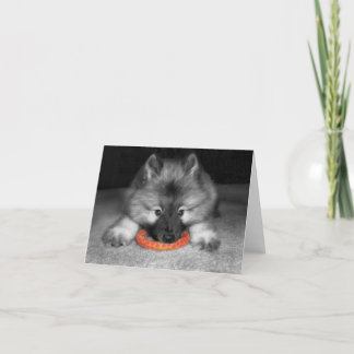 Tarjeta de nota del perrito del Keeshond