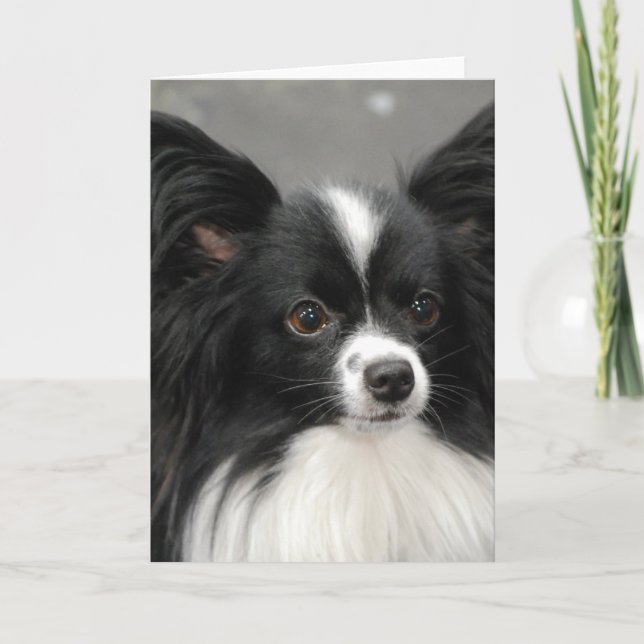 Tarjeta de nota del perro de Papillon (Anverso)