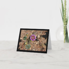 Tarjeta de nota del punto del desierto cinco