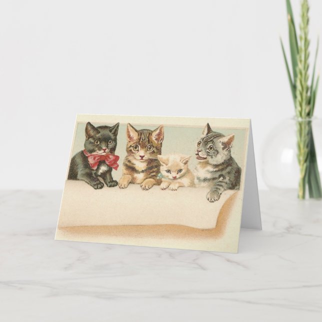 Tarjeta de nota del retrato de la familia de gato (Anverso)