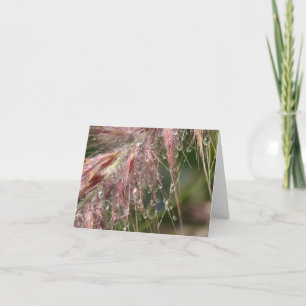 Tarjeta de nota del rocío de la mañana