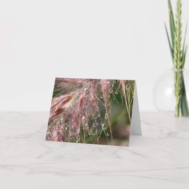 Tarjeta de nota del rocío de la mañana (Anverso)