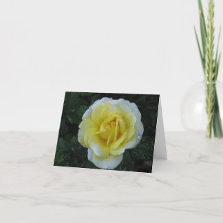 Tarjeta de nota del rosa amarillo