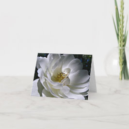 Tarjeta de nota del rosa blanco