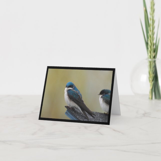 Tarjeta de nota del trago de árbol (espacio en (Anverso)