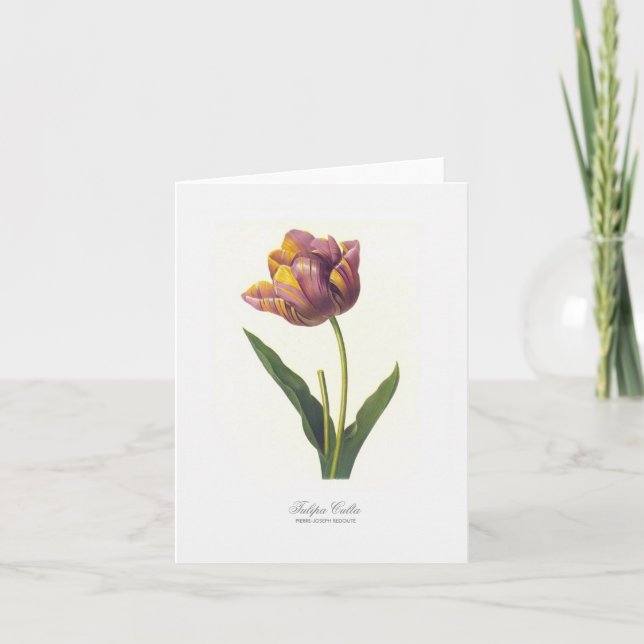 Tarjeta de nota del tulipán (Anverso)