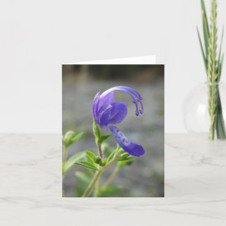 Tarjeta de nota del Wildflower