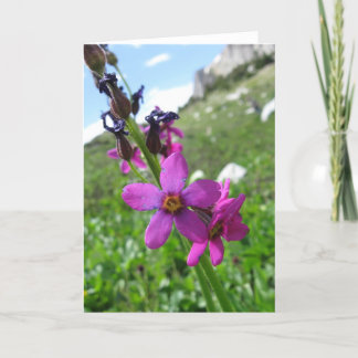 Tarjeta de nota del Wildflower de la montaña