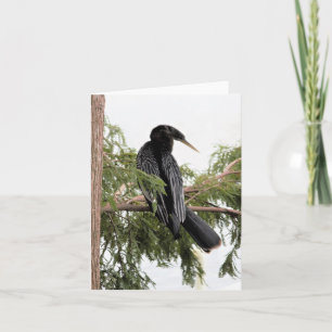 Tarjeta de nota doblada con foto de Anhinga