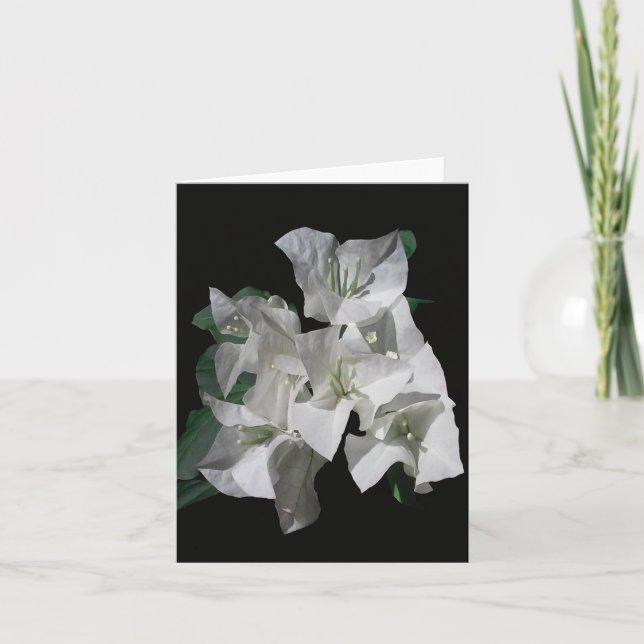 Tarjeta de nota doblada con foto de Bougainvillia  (Anverso)