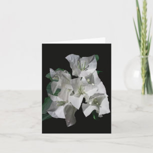Tarjeta de nota doblada con foto de Bougainvillia