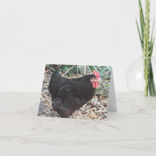 Tarjeta de nota doblada con fotografía de pollo de