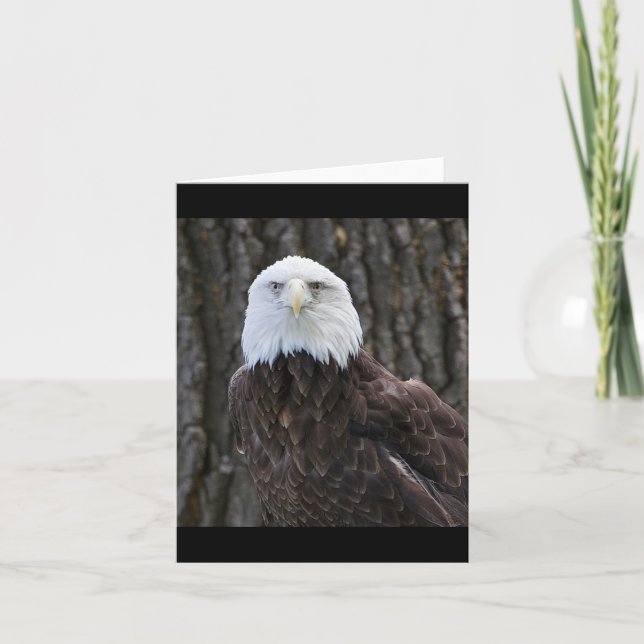 Tarjeta de nota doblada de foto de águila calva (Anverso)