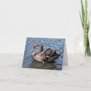 Tarjeta de nota doblada de foto de cisne negro