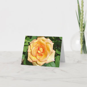 Tarjeta de nota doblada de foto de rosa amarilla