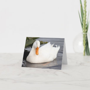 Tarjeta de nota doblada de foto del pato blanco