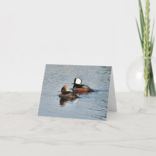 Tarjeta de nota doblada de foto del pato del Merga
